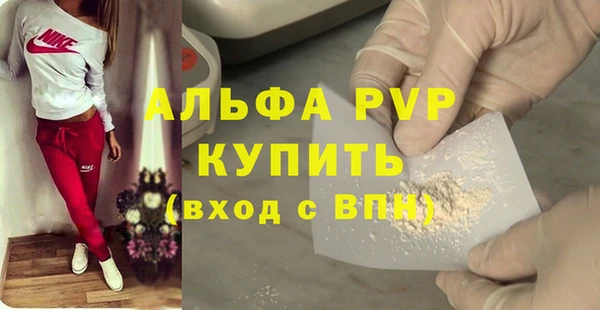 дживик Бородино