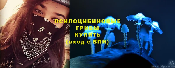 меф Снежинск