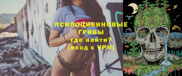 меф Снежинск