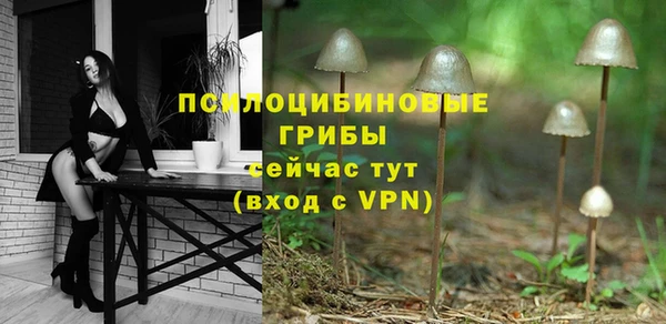 меф Снежинск