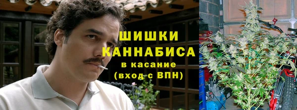 эйфоретик Снежногорск