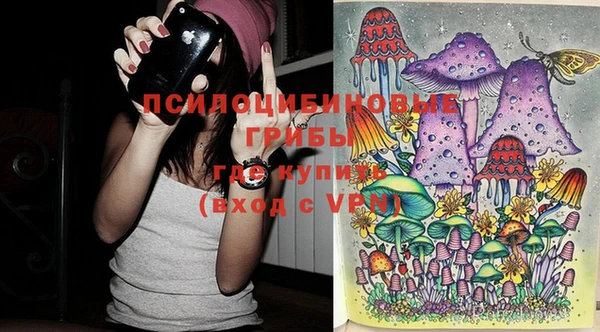 эйфоретик Снежногорск
