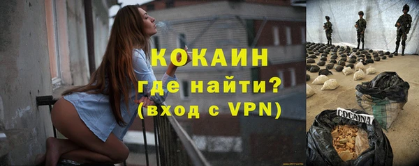 меф Снежинск