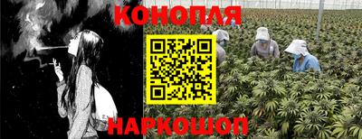 каннабис Аргун
