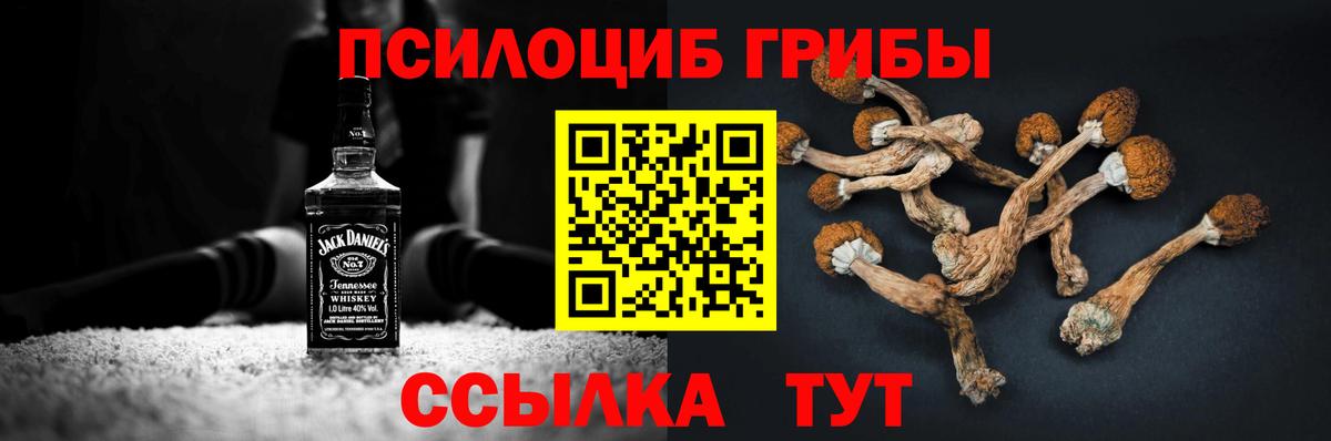 Галлюциногенные грибы GOLDEN TEACHER  Астрахань 